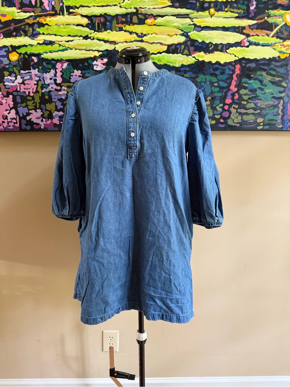 Gap Denim Tunic Dress with Button Placket